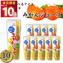 【10本】和歌山 みかんジュース シャーベット スティック バー 冷凍 ジュース パック アイスキャンディー かき氷 スイーツ フルーツバー 凍らせて食べる フルーツシャーベット パウチ 果実 お菓子