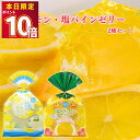 1000円ポッキリ 送料無料 ゼリー詰め合わせ 2種 金澤兼六製菓 塩パイン 雪塩入り塩レモン 巾着ゼリー ギフト お土産 プレゼント 手土産 プチギフト 贈答 個包装 おやつ おかし ゼリー デザート スイーツ おやつ 塩分補給 スッキリ 熱中症対策