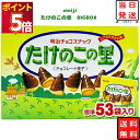 お菓子 詰め合わせ 送料無料 駄菓子 まとめ買い たけのこの里 BIGBOX チョコレート 大容量 609g 業務用 スナック菓子 個包装 景品 お祭り 催事 プチギフト デザート あす楽 学童 遠足 おやつ ピクニック 動物 食べきりサイズ 小