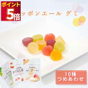 お菓子 詰め合わせ 大量 全農 ニッポンエール グミ 人気 10種 送料無料 スイーツ 駄菓子 まとめ買い アソートセット 大人買い お祭り 縁日 景品 イベント 催事 子供会 お菓子パーティー