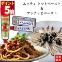 バレーナ社 アンチョビペースト送料無料 1本 無添加 ムッティ トマトペースト1本 調味料 アレンジ チューブタイプ 煮込み料理 スープ ミートソース カレー ピザソース ブルスケッタ パスタ 野菜炒め 隠し味