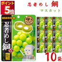 お菓子 まとめ買い UHA味覚糖 忍者メシ 鋼 マスカット味 50g 10袋 セット 送料無料 グミ スイーツ 駄菓子 おやつ 薄くて硬い ハードグミ アソートセット 大人のおやつ 小腹 グミキャンディ お試し 小袋 お菓子 おやつ 子供 遠足 学童
