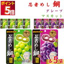 お菓子 まとめ買い UHA味覚糖 忍者メシ 鋼 グレープ味 マスカット味 45g 各5袋 セット 送料無料 グミ スイーツ 駄菓子 おやつ 薄くて硬い ハードグ...