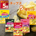 お菓子 詰め合わせ ポテトチップス 5種 各2袋 合計10袋セット カルビー 送料無料 北海道バターしょうゆ味 のり塩パンチ 東海えびしお味 関西だししょうゆ ...