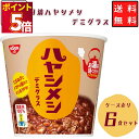レトルト食品 常温保存 詰め合わせ 送料無料 インスタント食品 日清 ハヤシメシ デミグラス 6食セット ケース売り 箱売り 箱買い レトルト 惣菜 カップ飯 カップライス 試食 防災 非常食 備蓄 カレー飯 ビーフ キーマカレー シーフード ハ