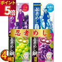 1000円ポッキリ 送料無料 お菓子 詰め合わせ UHA味覚糖 忍者メシ 巨峰 ラムネ 鋼 グレープ 鋼 マスカット 4種セット 各1袋 グミ スイーツ 駄菓子...
