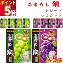 お菓子 まとめ買い UHA味覚糖 忍者メシ 鋼 グレープ味 マスカット味 45g 各5袋 セット 送料無料 グミ スイーツ 駄菓子 おやつ 薄くて硬い ハードグ...
