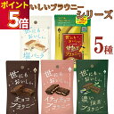 スイーツ 送料無料 世にもおいしいブラウニー 5種 各1個 チョコブラウニー イチゴチョコブラウニー 濃い抹茶ブラウニー 甘熟王バナナブラウニー 塩バニラブラウ...