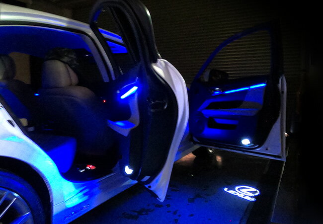 Junack ジュナック リ・ザード アンビエントイルミネーション フロント左右分 LEXUS GS ARL10/GRL1#/AW..