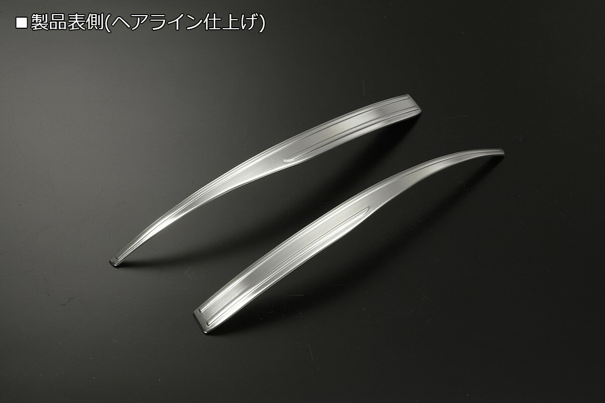 REIZ ライツ DA16T キャリイ スーパーキャリイ DG16T スクラムトラック フロントフェンダー プロテクターモール カバー 2P ステンレス製 両面テープ施工済み