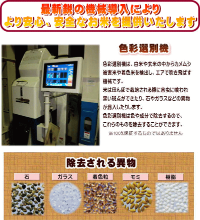 米10kgコシヒカリ玄米お米29年産茨城県産送料無料一等『29年茨城県産コシヒカリ(調製玄米10kg)』【RCP】