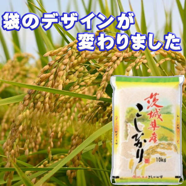 おすすめ セール 新米 10kg コシヒカリ お米 8年産 茨城県産 送料無料 『令和8年茨城県産コシヒカリ白米10kg』 anzai-rice-10000073 まんま屋 サンプル画像2
