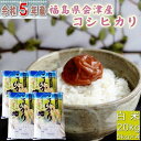 米 コシヒカリ 20kg(5kg×4袋) 福島県産 お米 5年産 会津産 送料無料 『令和5年福島県会津産コシヒカリ(白米5kg×4)』