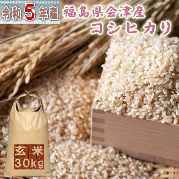 米 30kg コシヒカリ 玄米 福島県産 お米 5年産 会津産 送料無料 令和5年福島県会津産コシヒカリ玄米30kg 