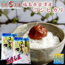 セール 米 コシヒカリ 10kg(5kg×2袋) 