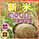 【23年度産】【新米】【送料無料】コシヒカリ発祥の地福井県より当店初登場〜♪『福井県産コシヒカリ玄米30K』【東北復興_福島県】【RCPdec18】