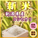【23年度産】【新米】【送料無料】越後平野の豊かな水と肥沃な土によって育まれました『新潟県産コシヒカリ白米10K』【東北復興_福島県】【RCPdec18】