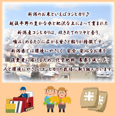 『新潟県産コシヒカリ白米10K』【RCP】【米10kg送料無料】