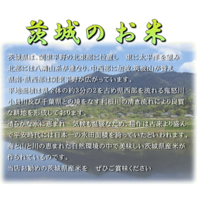 米10kgコシヒカリ玄米お米29年産茨城県産送料無料一等『29年茨城県産コシヒカリ(調製玄米10kg)』【RCP】