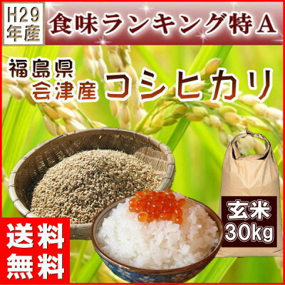 【楽天市場】米 30kg コシヒカリ 玄米 福島県産 お米 29年産 会津産 送料無料 一等 特A『29年福島県会津産コシヒカリ玄米30kg