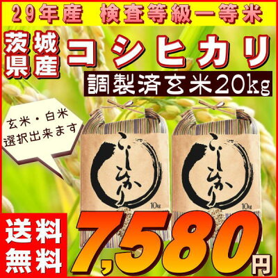 新米20kgコシヒカリ玄米お米米29年産茨城県産送料無料一等『29年茨城県産コシヒカリ調製玄米20kg』【RCP】