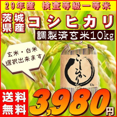 米10kgコシヒカリ玄米お米29年産茨城県産送料無料一等『29年茨城県産コシヒカリ(調製玄米10kg)』【RCP】