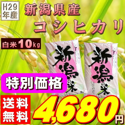 『新潟県産コシヒカリ白米10K』【RCP】【米10kg送料無料】