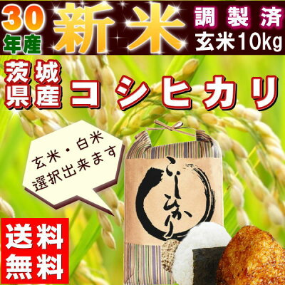 米10kgコシヒカリ玄米お米29年産茨城県産送料無料一等『29年茨城県産コシヒカリ(調製玄米10kg)』【RCP】