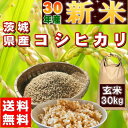 新米 30kg コシヒカリ 玄米 お米 30年産 茨城県産 ...