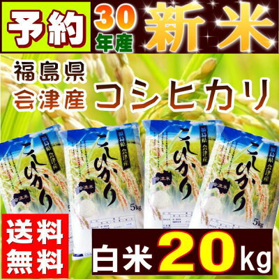コシヒカリ20kg(5kg×4袋)新米福島県産お米米29年産会津産送料無料特A『29年会津産コシヒカリ(白米5kg×4)』【RCP】