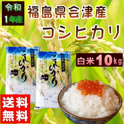 コシヒカリ10kg(5kg×2袋)福島県産お米元年産会津産送料無料『令和1年福島県会津産コシヒカリ(白米5kg×2)』【RCP】