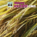 新米 30kg コシヒカリ 玄米 福島県産 お米 元年産 会津産 送料無料 一等 『令和1年福島県会津産コシヒカリ玄米30kg』【RCP】