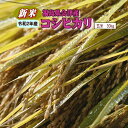 新米 30kg コシヒカリ 玄米 福島県産 お米 2年産 会津産 送料無料 一等『令和2年福島県会津産コシヒカリ玄米30kg』【RCP】