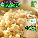 米 30kg コシヒカリ 玄米 福島県産 お米 3年産 会津産 送料無料 一等 『令和3年福島県会津産コシヒカリ玄米30kg』【RCP】