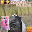 新米 ひとめぼれ 10kg 福島県産 お米 5年産 会津産 送料無料 『令和5年福島県会津産ひとめぼれ白米10kg』 4,480円