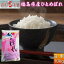 米 ひとめぼれ 10kg 福島県産 お米 5年産 送料無料 『令和5年福島県産ひとめぼれ白米10kg』