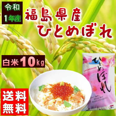 新米ひとめぼれ10kg福島県産お米元年産送料無料『令和1年福島県産ひとめぼれ白米10kg』【RCP】