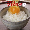 ひとめぼれ 10kg 福島県産 お米 元年産 送料無料 『令和1年福島県産ひとめぼれ白米10kg』【RCP】