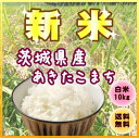 【23年度産】【新米】【送料無料】もっちりとした食感がたまらな〜い♪冷めてもご飯が硬くなりにくいのでお弁当やおにぎりなどに最適♪『茨城県産あきたこまち白米10K』【東北復興_福島県】
