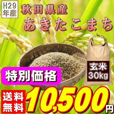『秋田県産あきたこまち玄米30K』