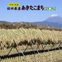 あきたこまち 30kg 秋田県産 お米 元年産 送料無料 一等『令和1年秋田県産あきたこまち玄米30kg』【RCP】