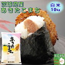 米 10kg 送料無料 お米 2年産 10キロ 『令和2年茨城県産あきたこまち白米10kg』【RCP】