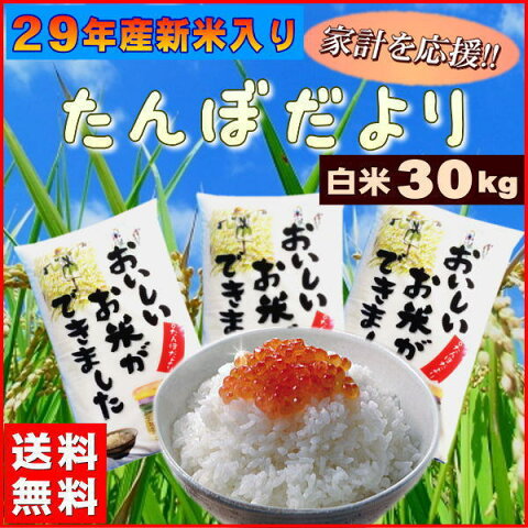 米 30kg お米 白米 安い (10kg×3袋) 訳あり ブレンド米 国内産 送料無料 『たんぼだより(白米10kg×3)』29年産新米入り【RCP】