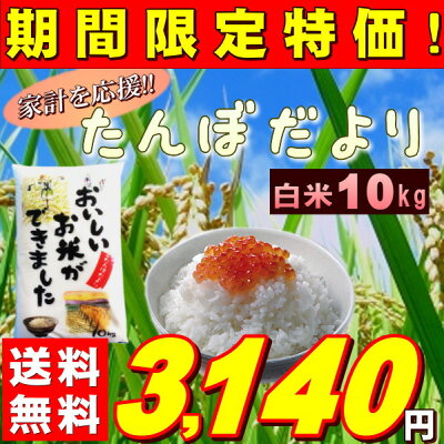 『たんぼだより白米10K』【RCP】【米10kg送料無料】
