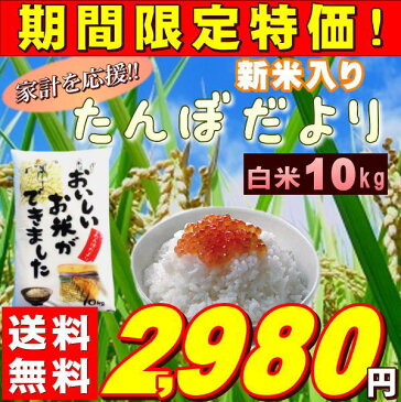 米 10kg お米 白米 安い 訳あり ブレンド米 国内産 送料無料 『たんぼだより白米10kg』【RCP】