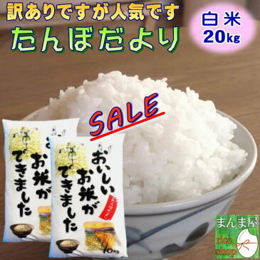 セール 20kg お米 白米 安い (10kg×2袋) 訳あり ブレンド米 送料無料 『国内産たんぼだより(白米10kg×2)』【RCP】