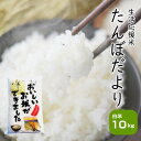 10kg お米 白米 安い 訳あり ブレンド米 送料無料 『国内産たんぼだより白米10kg』