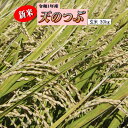 新米 天のつぶ 30kg 玄米 福島県産 お米 元年産 送料無料 一等 『令和1年福島県産天のつぶ玄米30kg』【RCP】