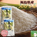 天のつぶ 10kg(5kg×2袋) 福島県産 お米 3年産 送料無料 『令和3年福島県産天のつぶ(白米5kg×2)』 【RCP】