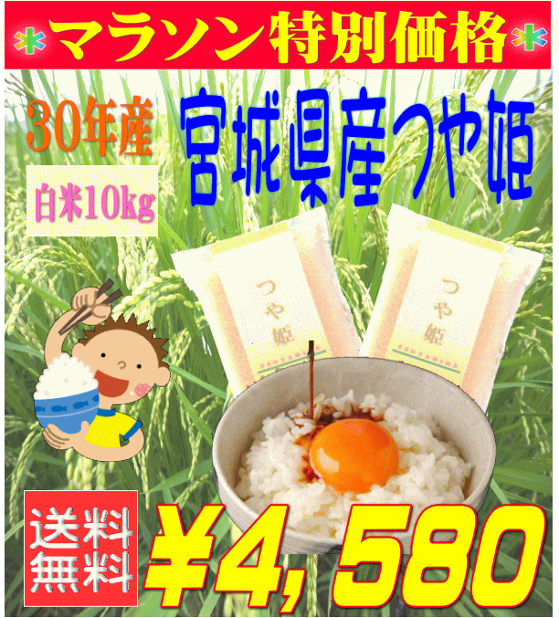 10kg つや姫 白米 お米 30年産 宮城県産 送料無料『宮城県産つや姫白米10K...